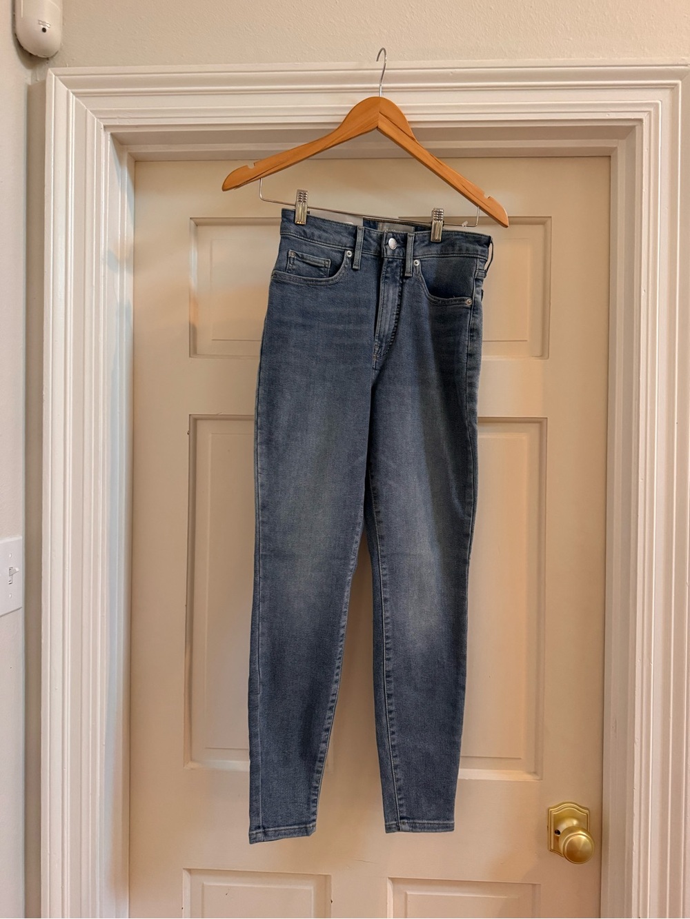 Everlane The Curvy Way-High Skinny Jean in Faded Blue, size 27 Crop.